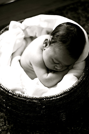 IMG_7831 copy