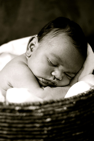 IMG_7805 copy